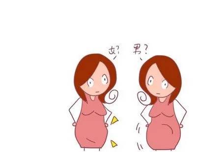 图片[2]-孕期生男生女看孕囊准吗？看孕囊怎么辨别男女-有孕帮