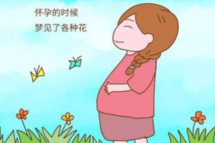 图片[1]-孕晚期梦见自己生男孩是什么征兆?孕晚期梦见生儿子准吗-有孕帮