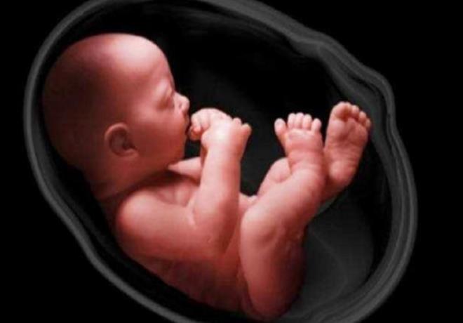 图片[1]-怎样知道胎儿是不是横位?怀孕期间胎儿横位怎么纠正-有孕帮
