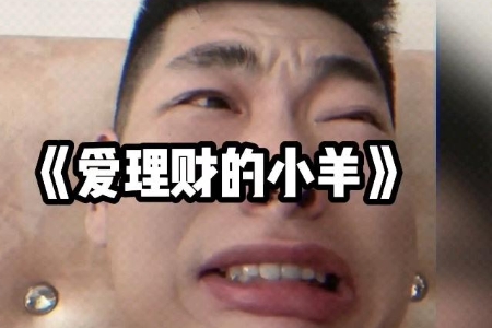 爱理财的小羊