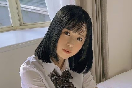 樟叶杏(樟葉杏)