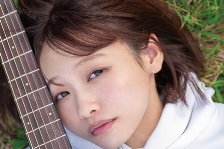 ​​花鳥斗架（花鸟斗架）