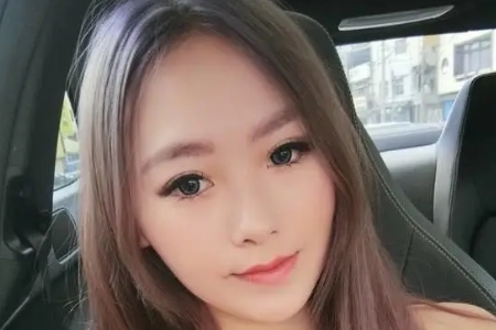 江苡安(灰猫猫小乖)