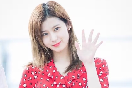 凑崎纱夏（みなとざき さな）