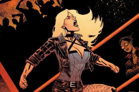 黑金丝雀(Black Canary)