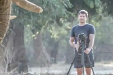 康拉迪(富豪CEO被大象踩踏身亡)